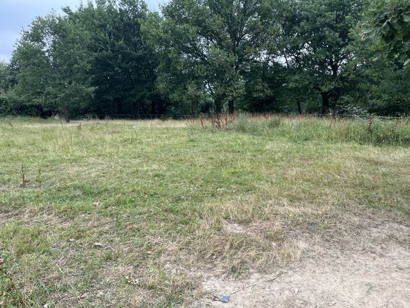 Vente Terrain NOGARO - -1331 m² - (32110)