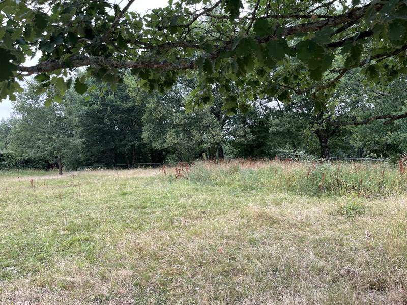 Vente Terrain NOGARO - -1331 m² - (32110)
