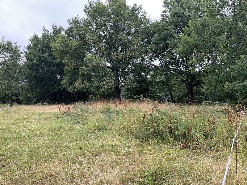 Vente Terrain NOGARO - -1331 m² - (32110)