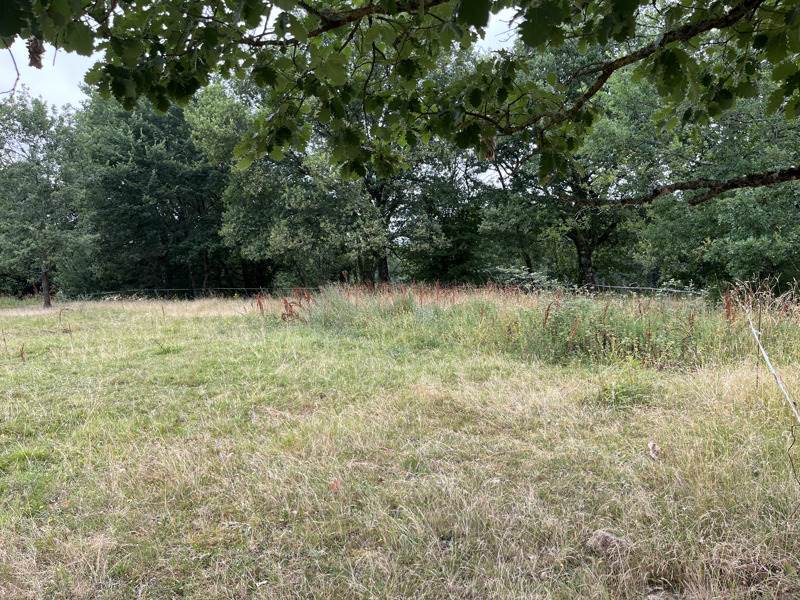 Vente Terrain NOGARO - -1331 m² - (32110)
