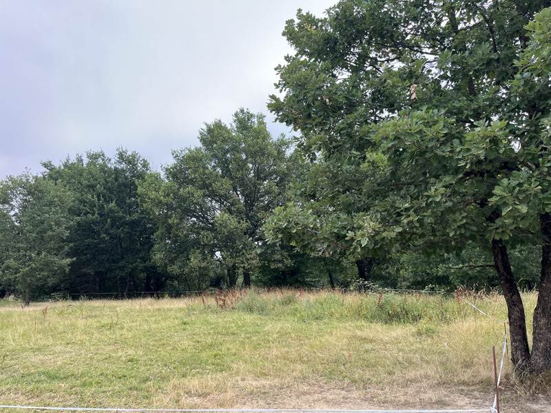 Vente Terrain NOGARO - -1331 m² - (32110)
