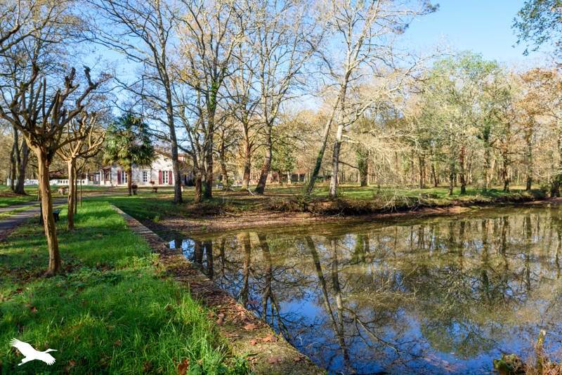 Vente Maison AURICE - 5 pièces -372 m² - (40500)