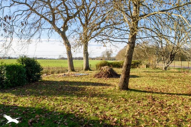 Vente Maison Lamothe - 4 pièces -88 m² - (40250)