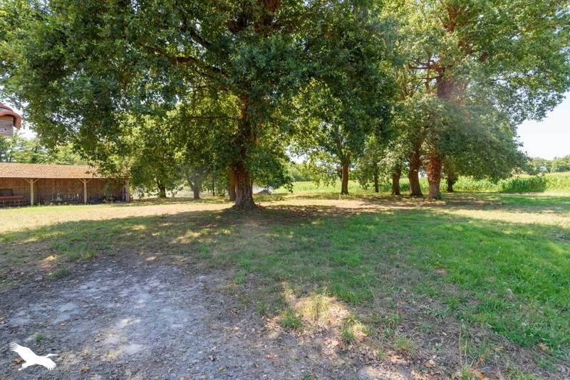 Vente Maison LAMOTHE - 5 pièces -148 m² - (40250)