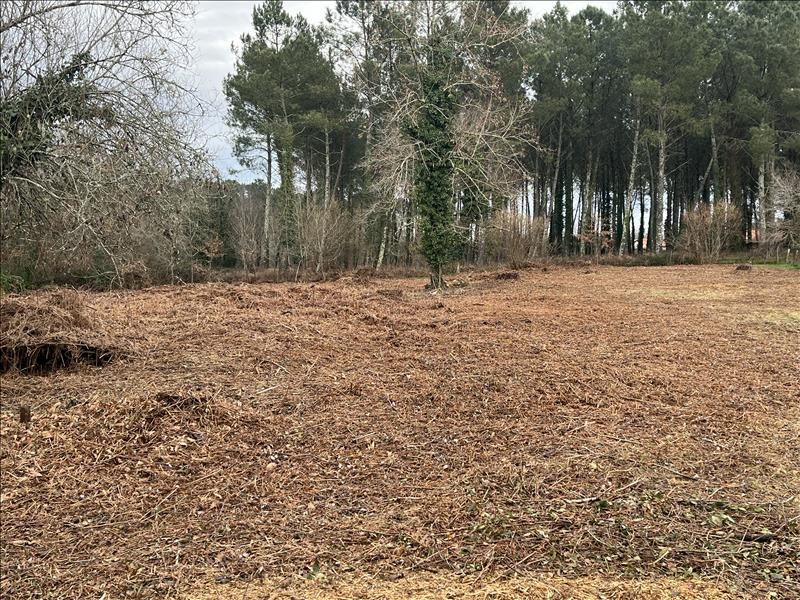 Vente Terrain ST YAGUEN - -3400 m² - (40400)