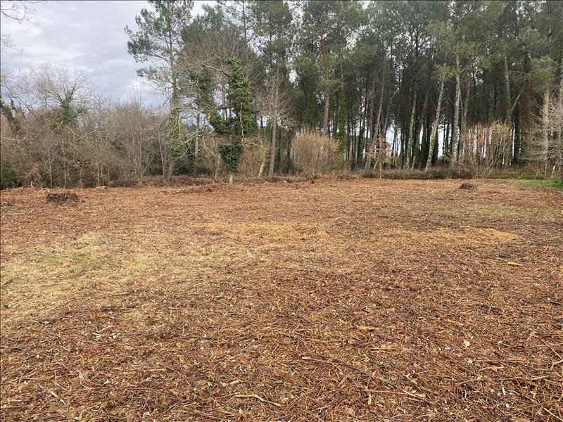 Vente Terrain ST YAGUEN - -3400 m² - (40400)