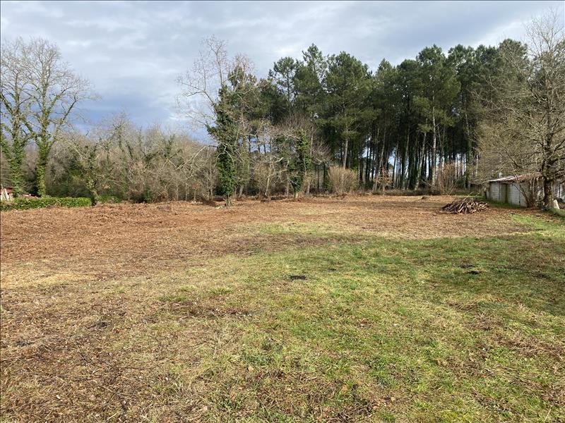 Vente Terrain ST YAGUEN - -3400 m² - (40400)