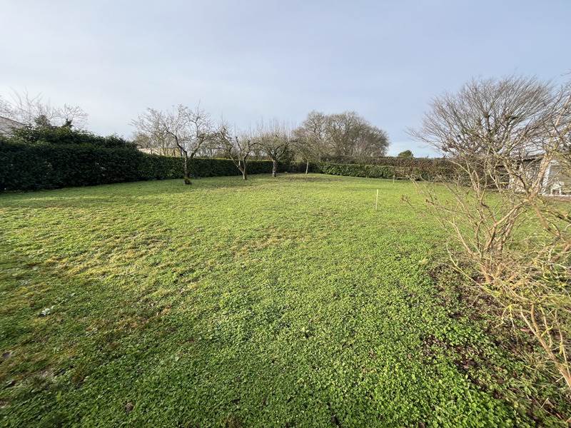 Vente Terrain ST SAUVEUR D AUNIS - -422 m² - (17540)
