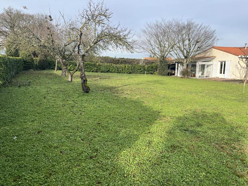 Vente Terrain ST SAUVEUR D AUNIS - -422 m² - (17540)