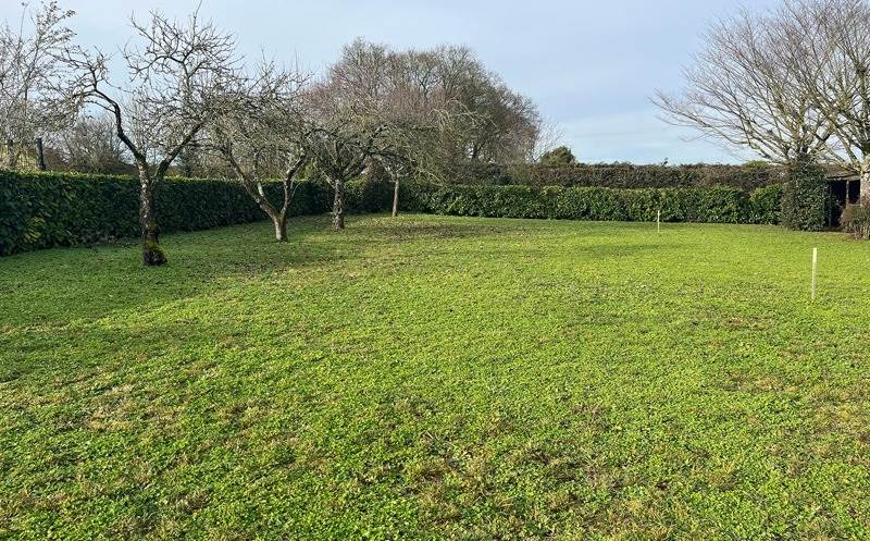 Vente Terrain ST SAUVEUR D AUNIS - -422 m² - (17540)