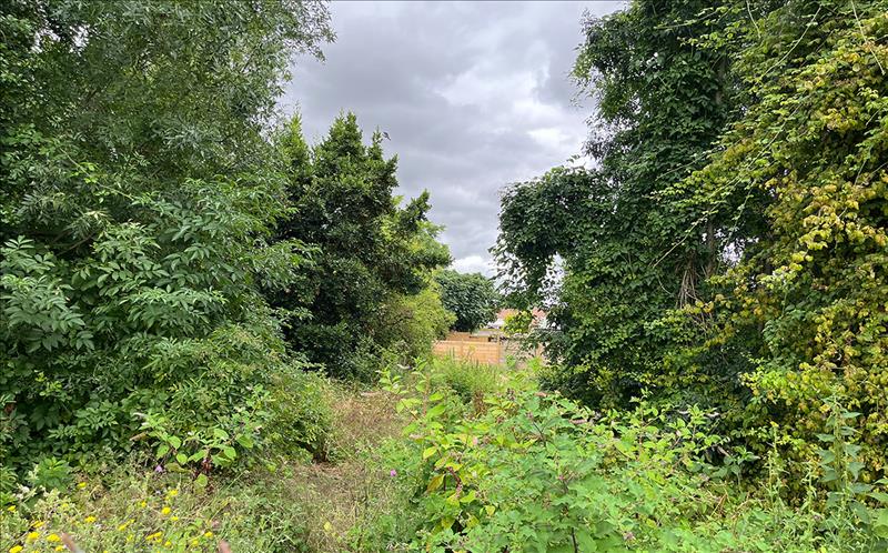 Vente Terrain AIGREFEUILLE D AUNIS - -493 m² - (17290)