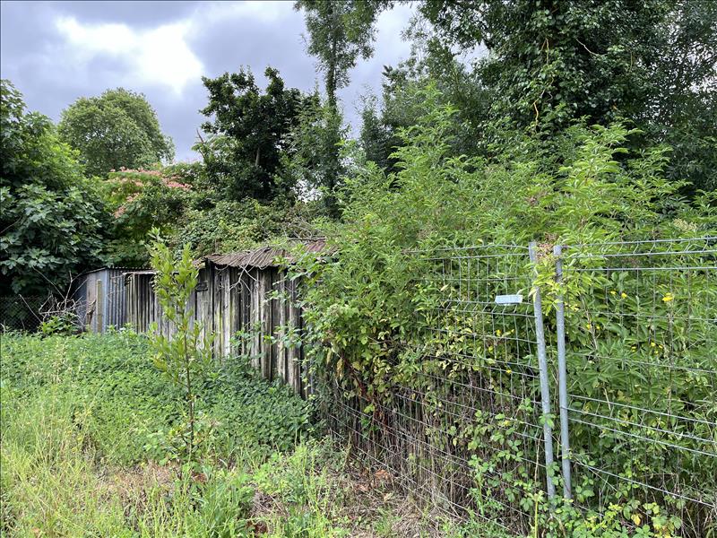 Vente Terrain AIGREFEUILLE D AUNIS - -493 m² - (17290)