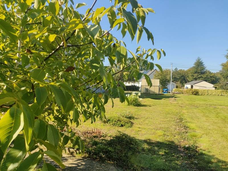 Vente Terrain VIGNEUX DE BRETAGNE - -612 m² - (44360)
