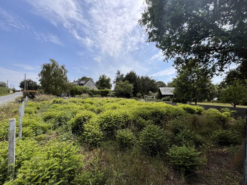 Vente Terrain MALVILLE - -396 m² - (44260)