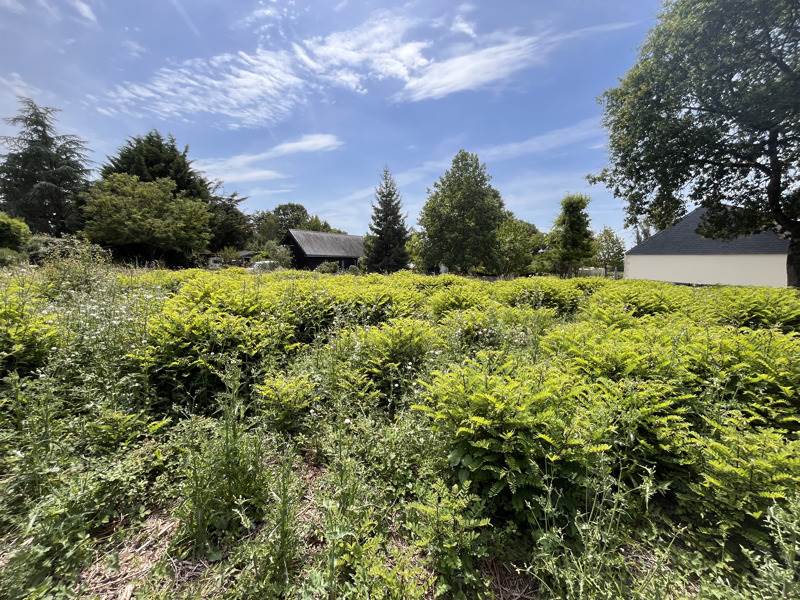 Vente Terrain MALVILLE - -396 m² - (44260)