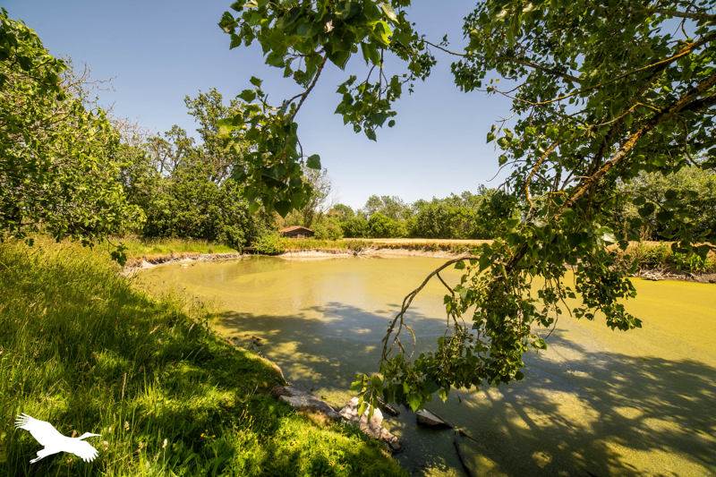 Vente Maison MARANS - 10 pièces -369 m² - (17230)