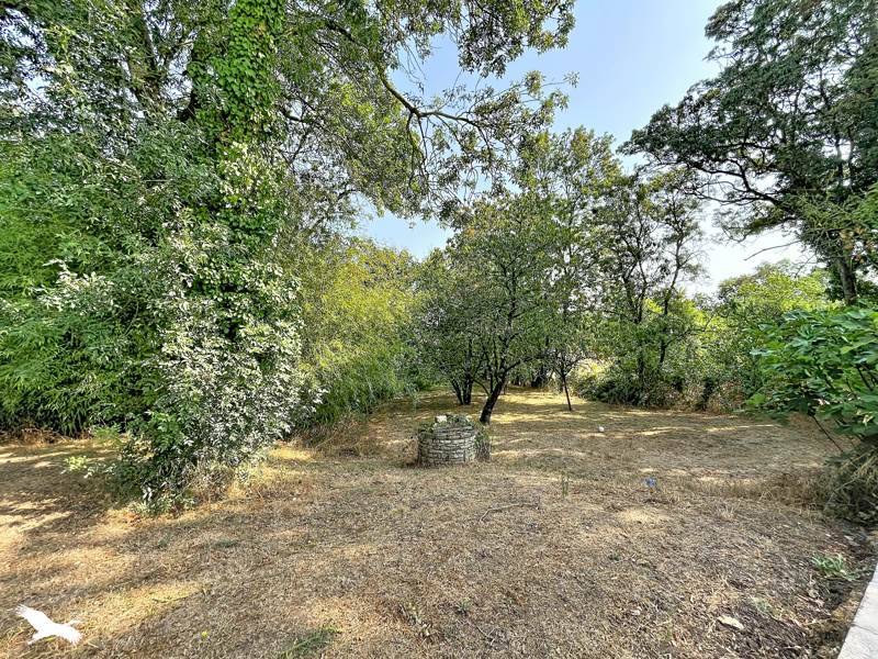 Vente Maison CHAILLE LES MARAIS - 5 pièces -186 m² - (85450)