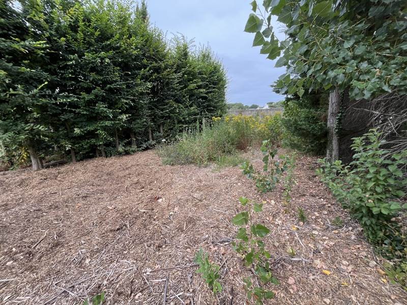 Vente Terrain ORVAULT - -503 m² - (44700)