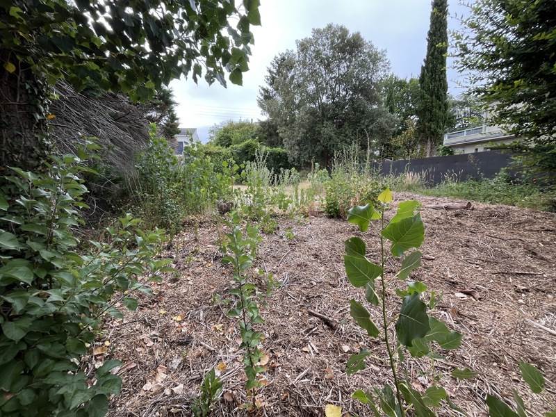 Vente Terrain ORVAULT - -503 m² - (44700)
