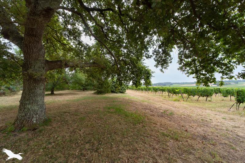 Vente Maison LUGASSON - 3 pièces -113 m² - (33760)