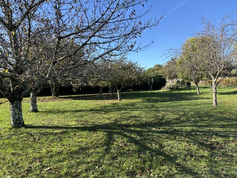 Vente Terrain ST VINCENT DE PERTIGNAS - -1633 m² - (33420)