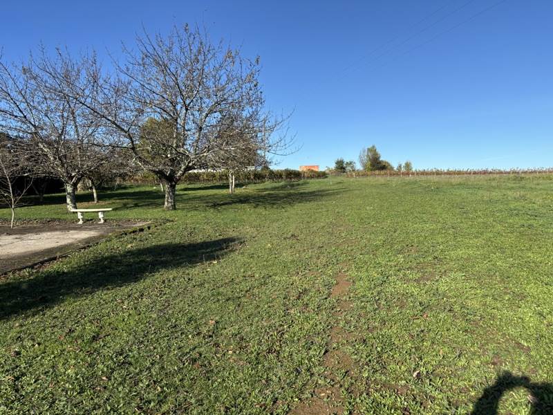 Vente Terrain ST VINCENT DE PERTIGNAS - -1633 m² - (33420)