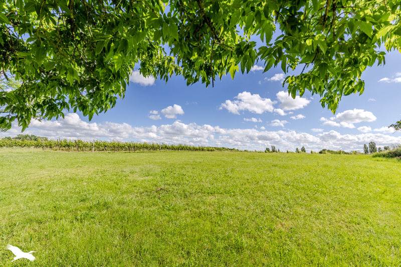 Vente Maison CAUMONT - 4 pièces -99 m² - (33540)