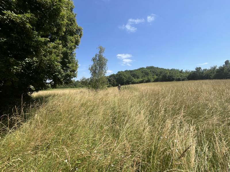Vente Maison ROMAGNE - 3 pièces -80 m² - (33760)