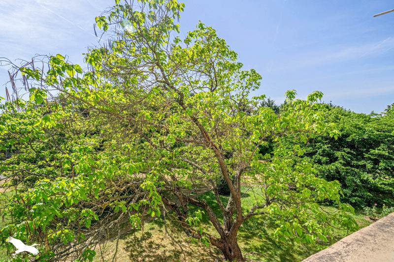 Vente Appartement LE BOUSCAT - 4 pièces -67 m² - (33110)