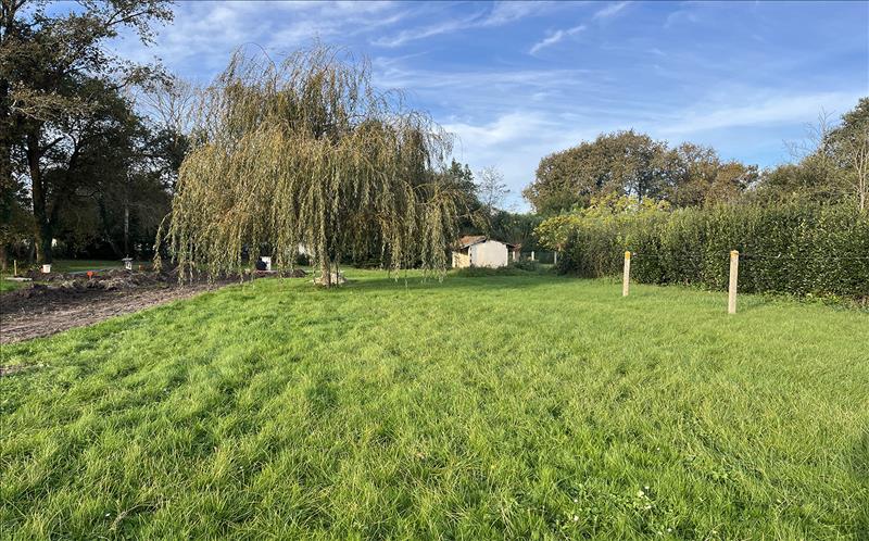 Vente Terrain ST VIVIEN DE MEDOC - -556 m² - (33590)