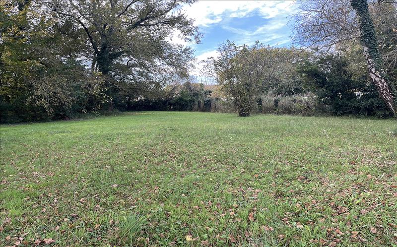 Vente Terrain ST VIVIEN DE MEDOC - -1384 m² - (33590)