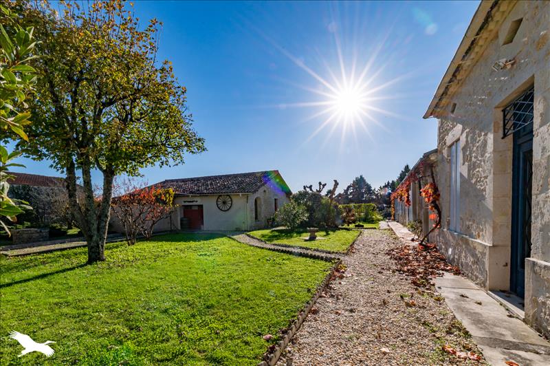 Vente Maison QUEYRAC - 11 pièces -289 m² - (33340)