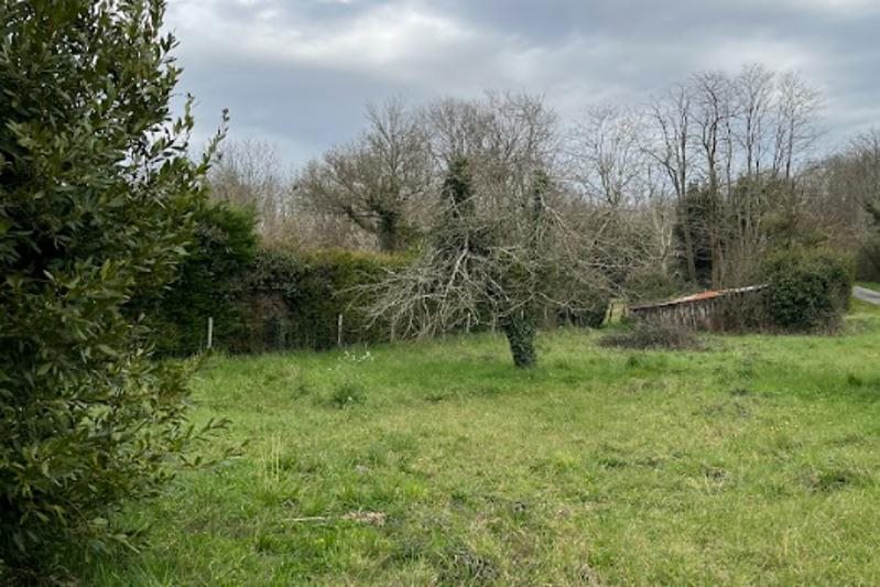Vente Terrain CIVRAC EN MEDOC - -560 m² - (33340)