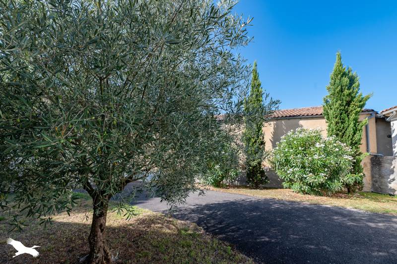 Vente Maison ST YZANS DE MEDOC - 7 pièces -194 m² - (33340)