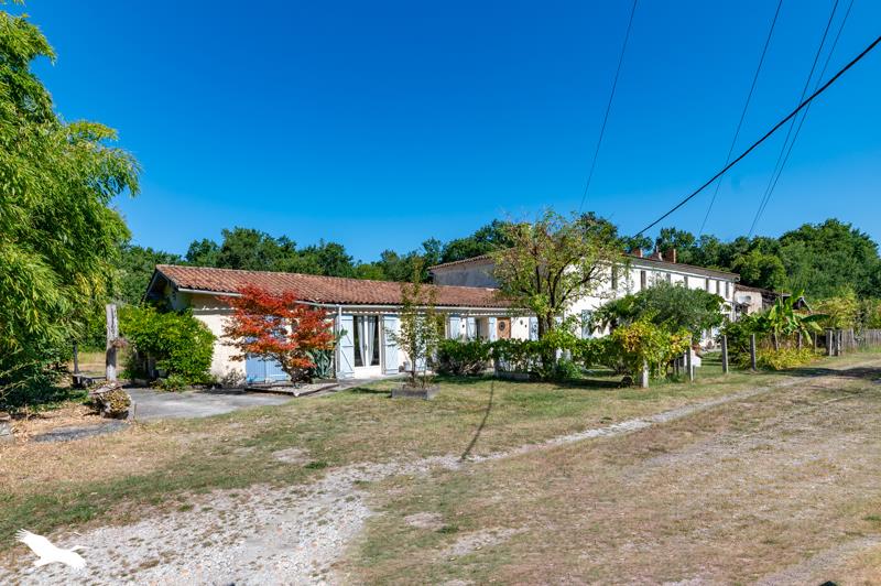 Vente Maison GAILLAN EN MEDOC - 13 pièces -398 m² - (33340)
