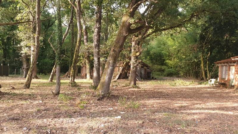Vente Maison VENDAYS MONTALIVET - 3 pièces -55 m² - (33930)