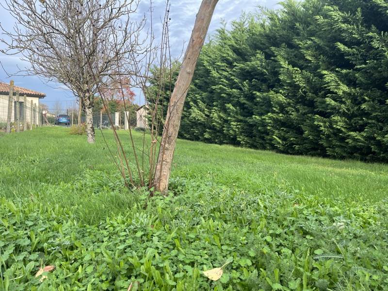 Vente Terrain LESPARRE MEDOC - -1237 m² - (33340)