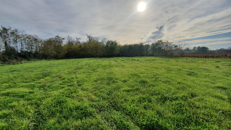 Vente Maison LESPARRE MEDOC - 5 pièces -180 m² - (33340)