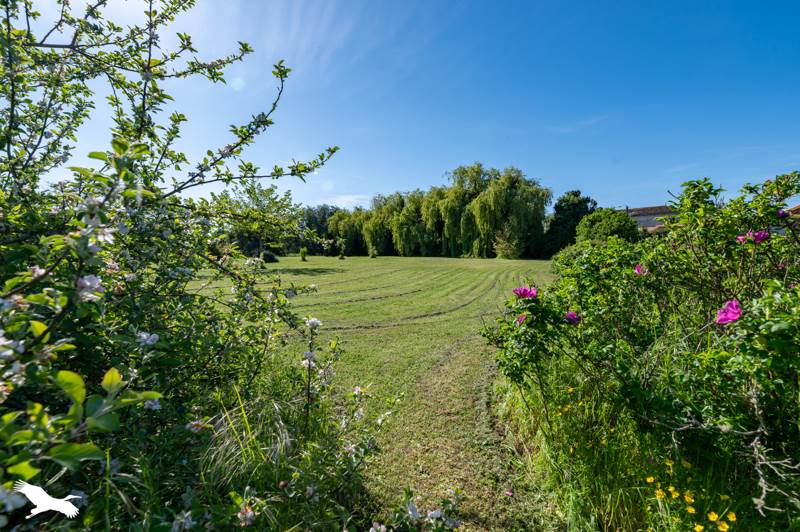 Vente Maison VALEYRAC - 7 pièces -215 m² - (33340)
