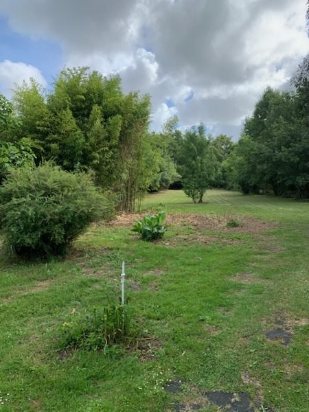 Vente Maison JAU DIGNAC ET LOIRAC - 4 pièces -120 m² - (33590)