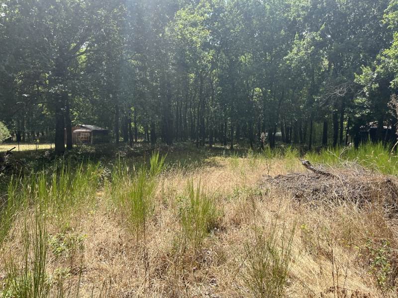 Vente Terrain ST VIVIEN DE MEDOC - -2855 m² - (33590)