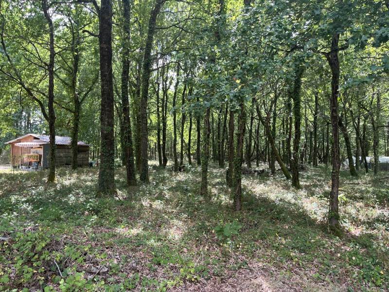 Vente Terrain ST VIVIEN DE MEDOC - -2855 m² - (33590)