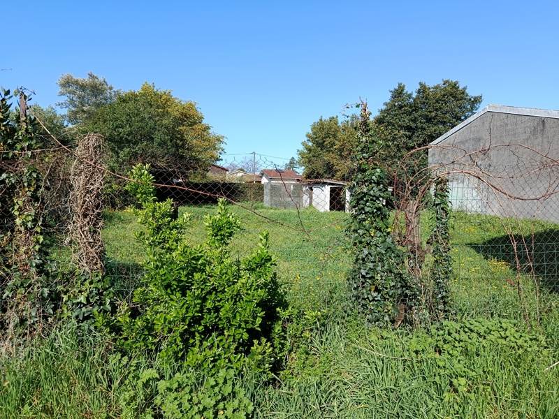 Vente Terrain QUEYRAC - -496 m² - (33340)