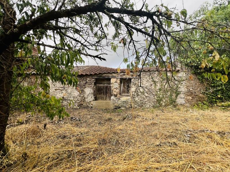 Vente Maison La Marne - 2 pièces -40 m² - (44270)