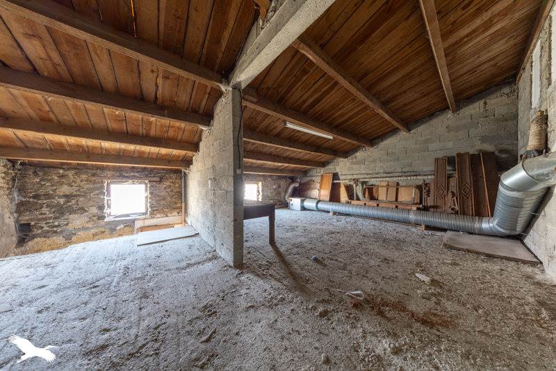 Vente Maison PALLUAU - 20 pièces -703,5 m² - (85670)