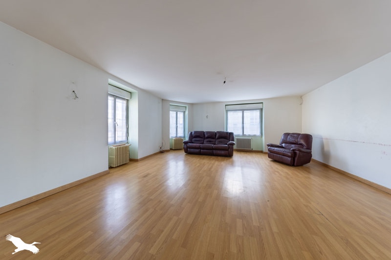 Vente Maison PALLUAU - 20 pièces -703,5 m² - (85670)