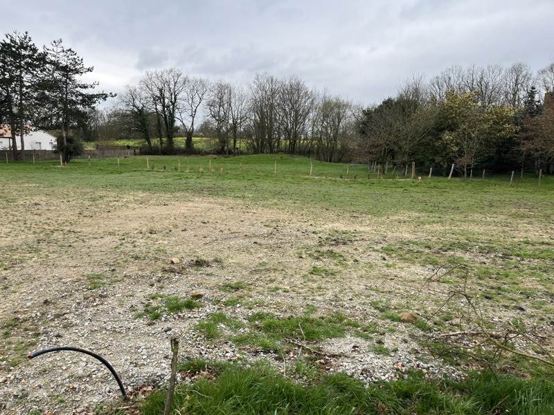 Vente Terrain BELLEVIGNY - -440 m² - (85170)