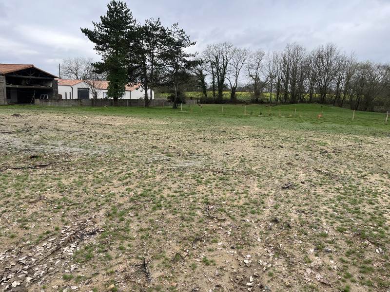 Vente Terrain BELLEVIGNY - -460 m² - (85170)