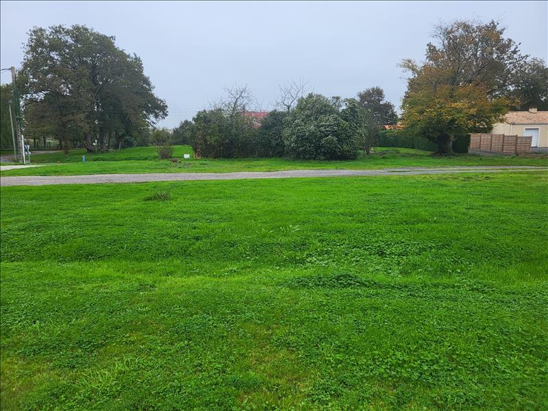 Vente Terrain BELLEVIGNY - -457 m² - (85170)