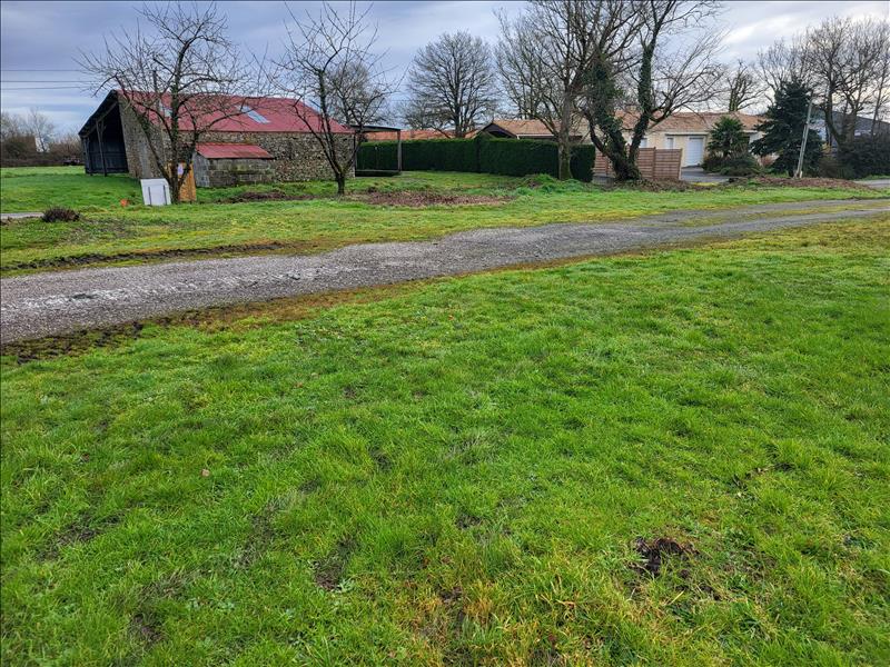 Vente Terrain BELLEVIGNY - -457 m² - (85170)